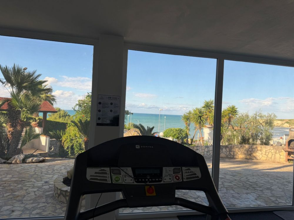 PALESTRA